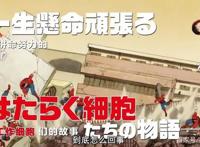 有生之年系列——工作细胞第二季，网友：居然更新了！