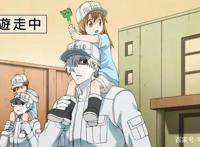 有生之年系列——工作细胞第二季，网友：居然更新了！