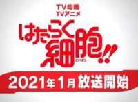 动漫推荐：工作细胞第二季