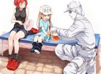 动漫《工作细胞》盘点和第二季《工作细胞black》的消息