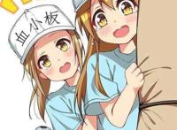 动漫《工作细胞》盘点和第二季《工作细胞black》的消息