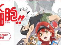 科普动漫《工作细胞》第二季来了，但小萝莉和小哥哥们都没了！