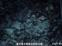 一拳超人，你绝不能错过的一拳第二季番外篇