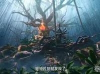 罗峰断线重连！《吞噬星空》动画6月8日正式复更！