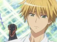 动漫里的那些腹黑金发男，只要长得帅，性格坏也爱