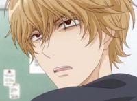 《狼少女和黑王子》少女动漫，对于里边的人物是否有印象