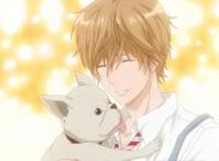 《狼少女与黑王子》——不同于普通的恋爱动漫