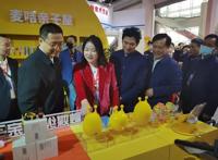 第六届湖湘动漫月开幕200余个动漫游戏IP齐聚长沙