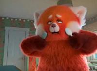 又一新作直接登陆Disney ，皮克斯真是迪士尼的“干儿子”？