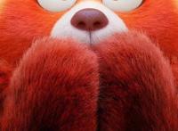 发福利！青春变形记（无水印高清）壁纸合集！你确定不要吗？