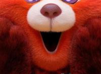 发福利！青春变形记（无水印高清）壁纸合集！你确定不要吗？