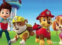 猫眼如何助《汪汪队立大功之超能救援》成圈层爆款？