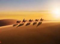 《小虎墩大英雄》2022年春节档最大的遗珠，过于低调了