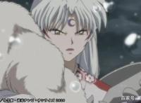 半妖的夜叉姬最终话追加先行图觉醒半妖之血的犬家三姐妹