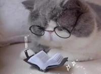 2020年秋季票选最值得一看的动漫新番，出乎意料的黑马夺冠！