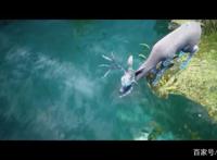 星辰变：动漫开播，这部动漫有哪些看点？