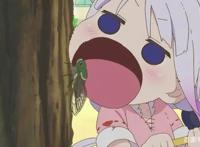 七月新番回来了，日漫准时赴约，却还是有被下架的风险