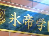 新网球王子，冰帝和青学部长的较量，手冢国光果然是职业级别的