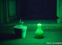 《凡人修仙传》动漫版：拳头大的掌天瓶，韩立怎么才能藏在胸口？