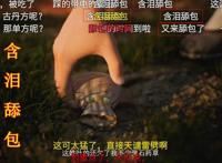 《凡人修仙传》动漫持续更新，弹幕才是精髓所在，路走窄了成新梗