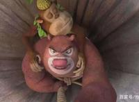 熊出没：五位角色最想删掉的照片，赵琳：“强哥，我好失望！”