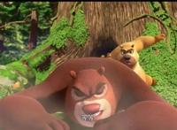 熊出没：熊出没的五大问题，如果回答不出来就不是真正的熊粉