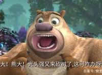 熊出没系列动画电影，已经拥有了一个非常稳定的受众群体