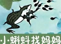 「盘点」80后记忆中的动画片——国产30部