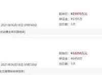 蔡甸中法生态城半岛小镇大型游乐公园及水上乐园项目不再PPT