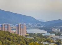 读巫哲《撒野》：你是我的年少轻狂，也是我的此生救赎