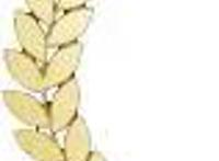 《新大头儿子》《巧虎》最适合幼儿看的动画片TOP8,爸妈一定要看