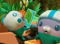 封面福利｜《海底小纵队：洞穴大冒险》7月9日欢乐上映邀您提前看片