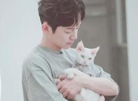 何炅配音过的四部动画片，第一部很少有人知道！