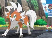 精灵宝可梦：在外多年重回家乡，阿罗拉冠军的最终决定