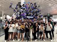 为什么跟团游是打不死的“小强”