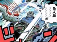 海贼王：鱼人能力是人类的几倍，为什么还会受到不公平的待遇？