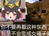 神仙打架杀出黑马！这就是秋季国创动漫最强猫娘么？