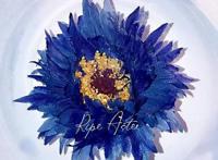 「魔法科高校的劣等生：追忆篇」年底跨年播出主题曲公开