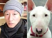 明星撞脸动漫人物！王一博撞脸蜡笔小新，刘涛神似围裙妈妈