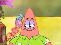 《派大星秀》发布先导预告欢乐来袭派大星：我是不是天才艺术家