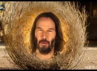 北美影院复工，海绵宝宝新片3天票房90万美元，登顶北美票房榜