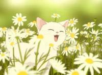 《擅长捉弄的高木同学》剧场版新剧照确定6月10日上映