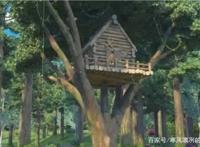 熊出没：动漫中出现的房子里，大家还记得他们谁的房子最奇葩吗？