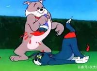 动漫中各房主的房子被毁次数（估算）光头强还不是最惨的