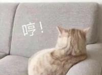 《只好背叛地球了》土萌外星人强势“攻略”地球女孩，是爱情还是阴谋？