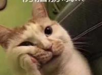 《只好背叛地球了》土萌外星人强势“攻略”地球女孩，是爱情还是阴谋？