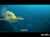 继《雪中》后，《剑来》也出动漫，这波是该夸还是得键来？