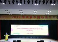 成都动漫发展按下加速键四川已成动漫投资新热点