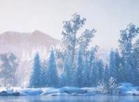 武庚纪人气动漫，沿袭中国古代神话，好看人气动画