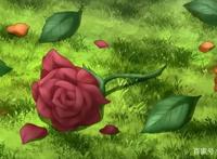 这3部新番动漫奇幻、热血，有魔法、有神魔、有社交，你看过吗？